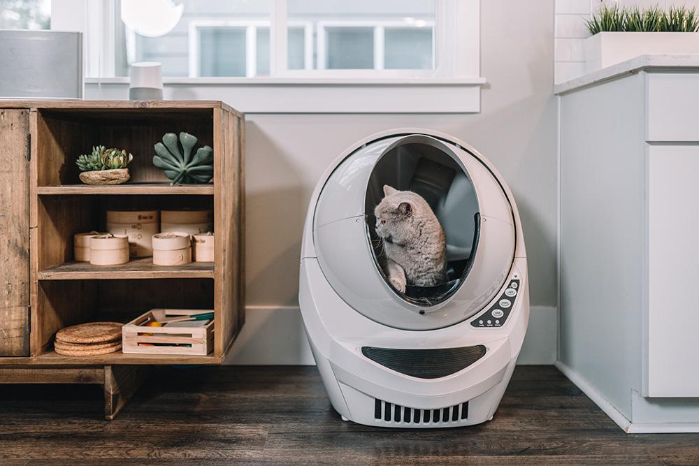 Litterbox Basics – make sure your cat is thinking inside the box ...