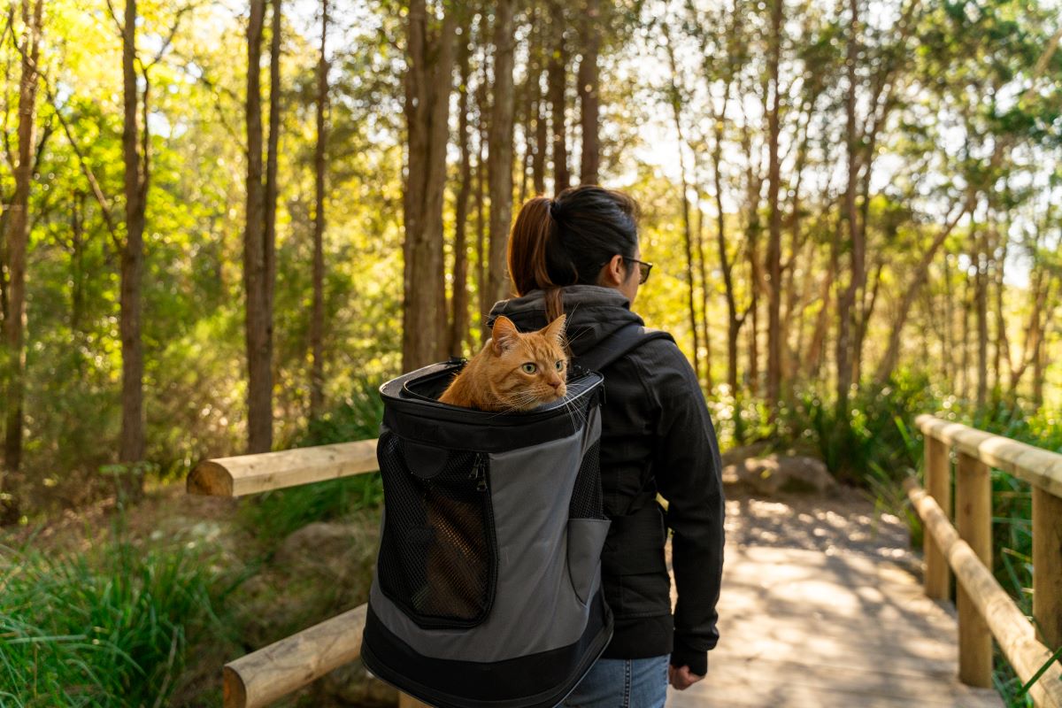 Backpack Cat Carrier