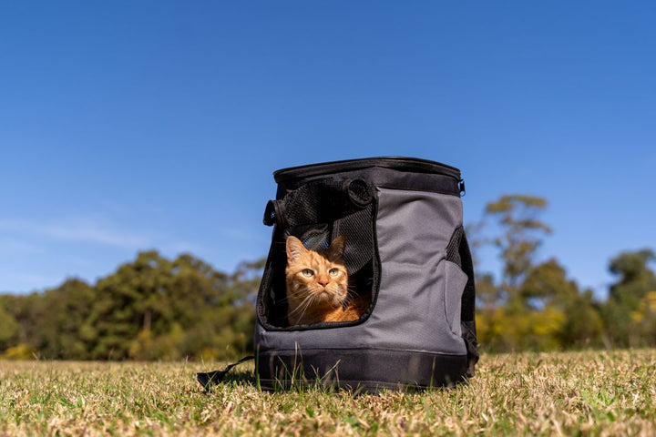 Backpack Cat Carrier – Catnets New Zealand