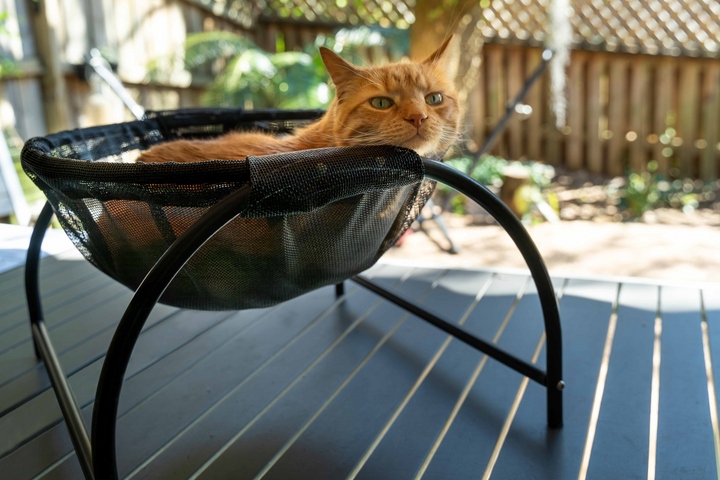Outdoor sales cat hammock