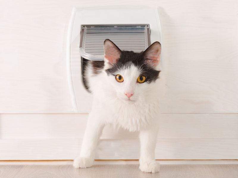 Catnets Cat Doors Cat Door to Suit Security Screen / Stainless Mesh