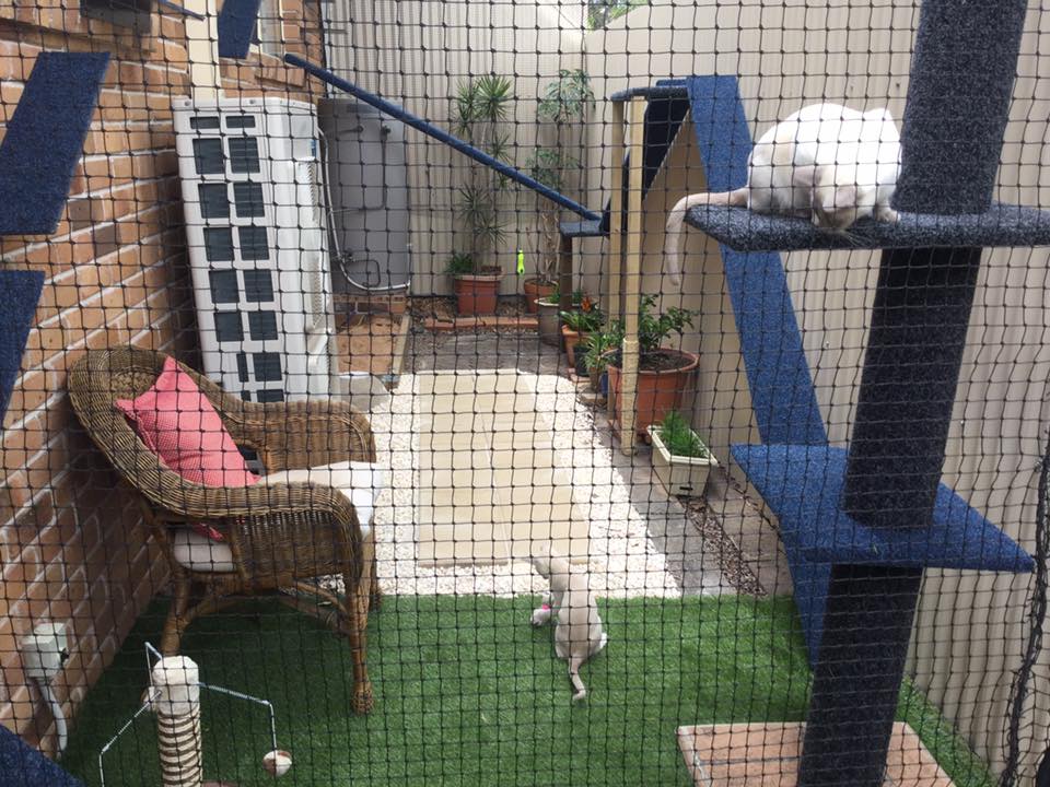 Catnets Cat Netting (by the metre) Cat Netting (by-the-metre) Black