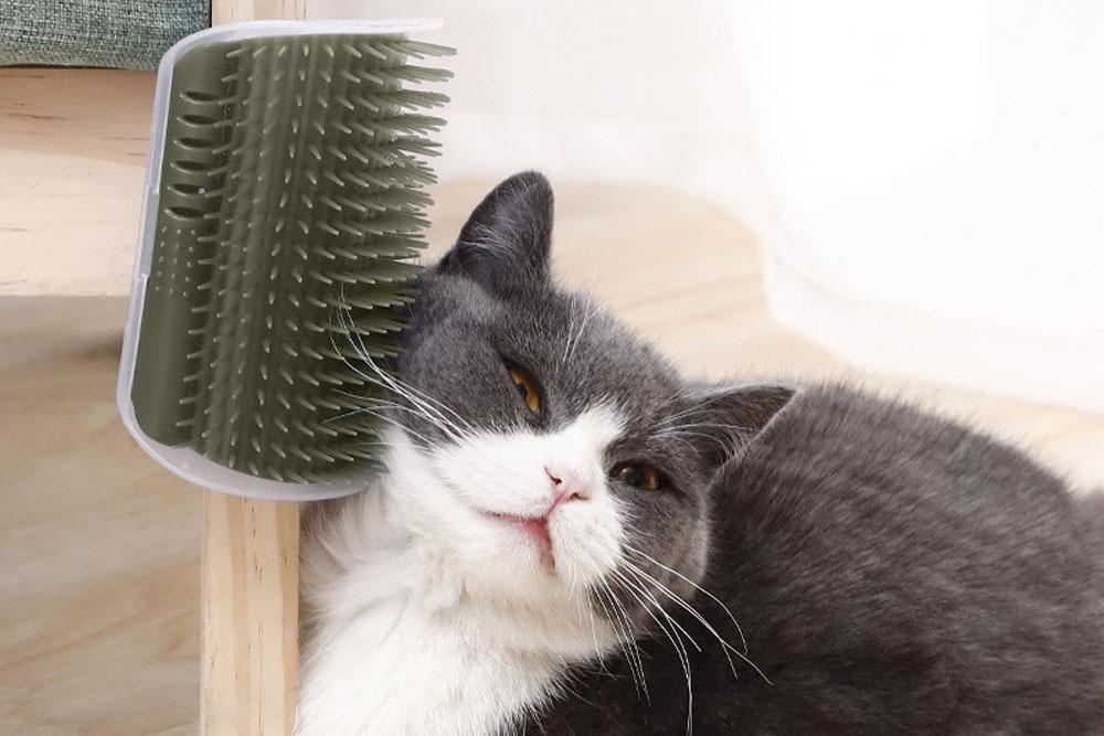 Catnets Cat Self Grooming Brush