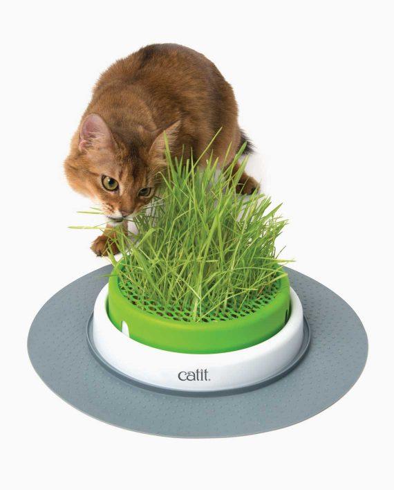Catnets Catit Catit 2.0 – Grass Planter Refill