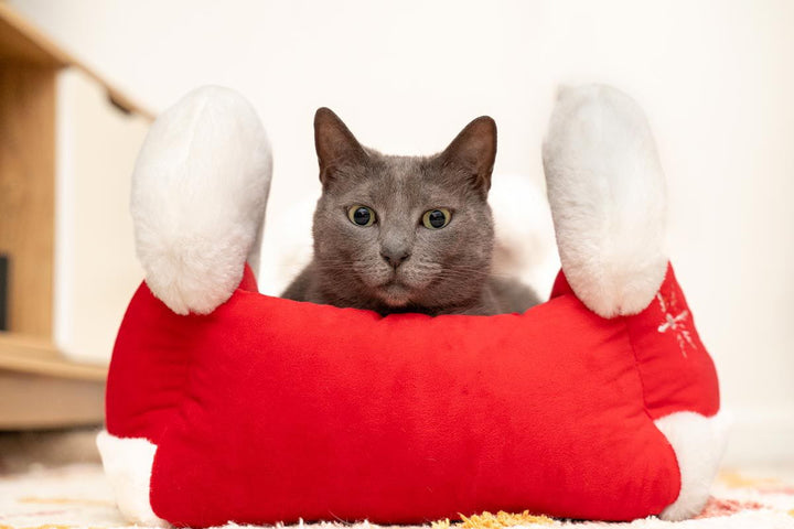 Catnets Festive Santa Sleigh Bed