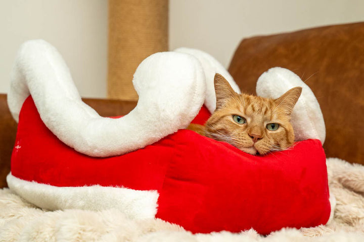 Catnets Festive Santa Sleigh Bed