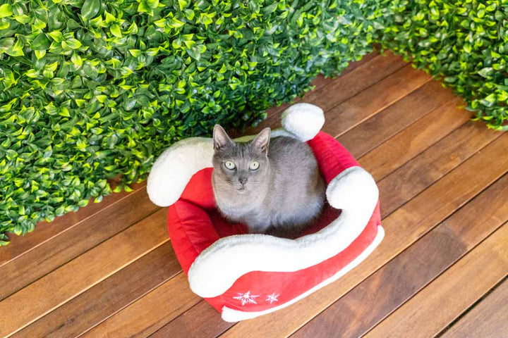 Catnets Festive Santa Sleigh Bed