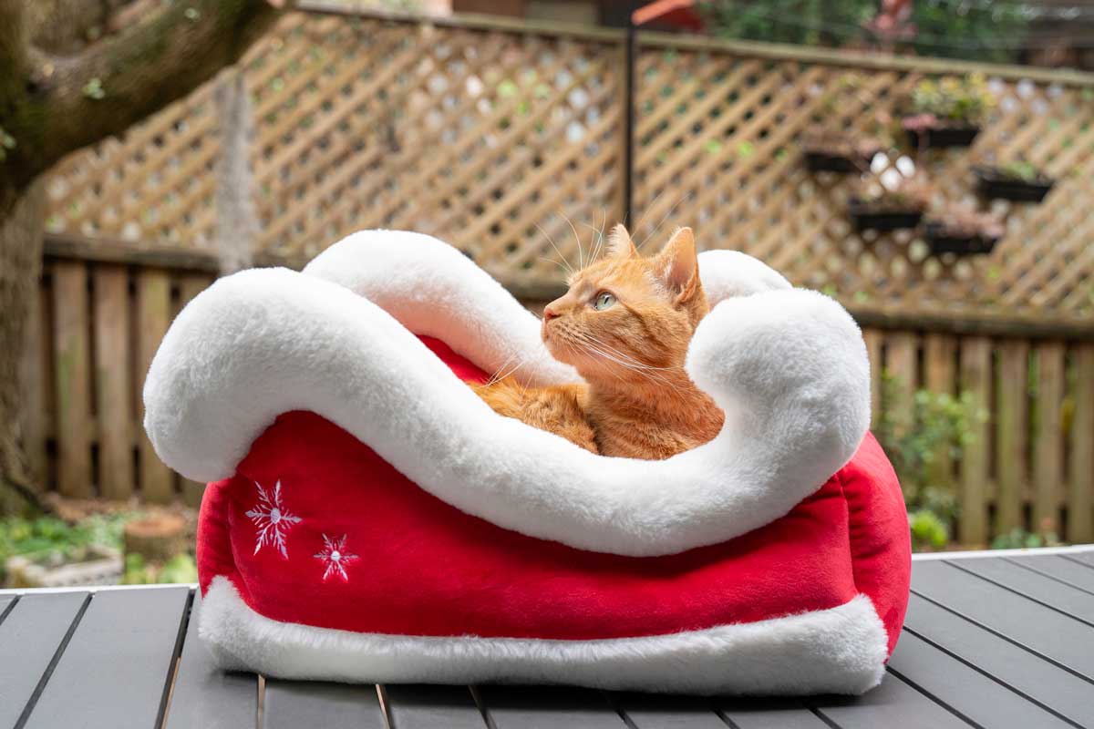 Catnets Festive Santa Sleigh Bed