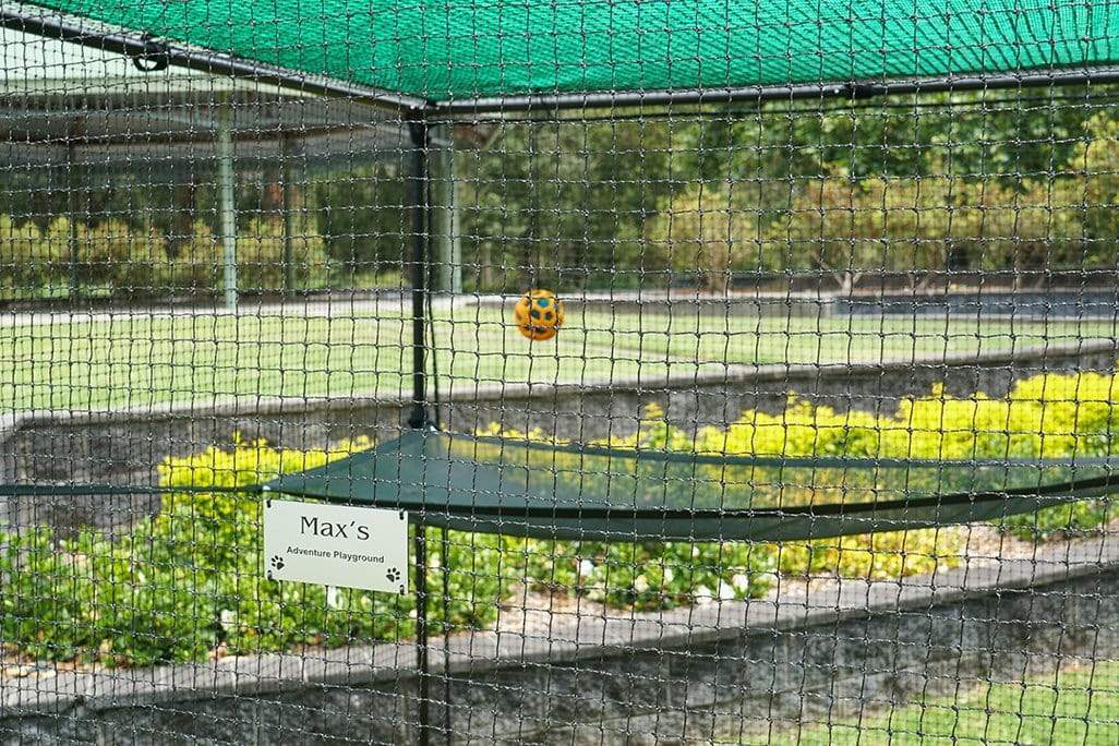 Catnets Classic Range Enclosures Double Size 3.6m Free-Standing Cat Enclosure