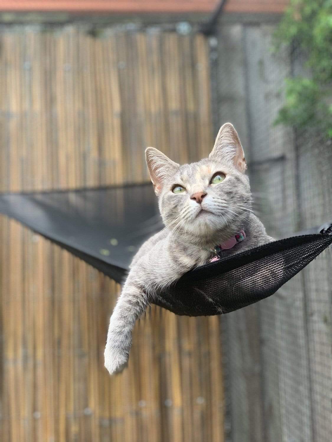 Catnets Enclosure Accessories Cat Hammock to suit all Freestanding Enclosures