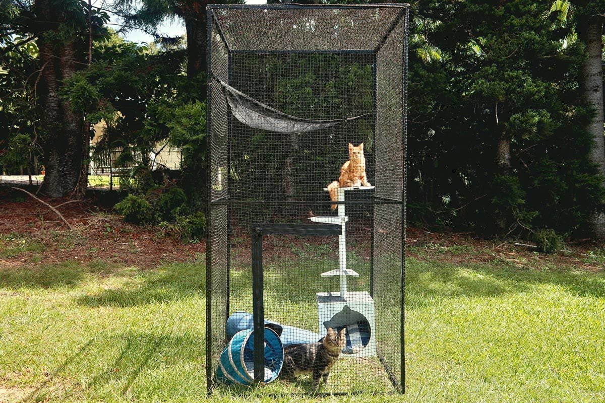 Catnets Lite Tower Portable Cat Enclosure 2.3m Height