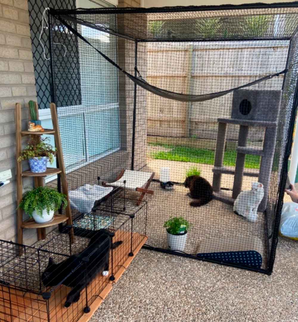 Single Size 1.8m Free-Standing Cat Enclosure