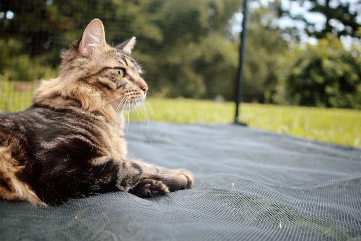 Catnets Premium Portable Enclosure Enclosure Flooring for Premium Freestanding Enclosures