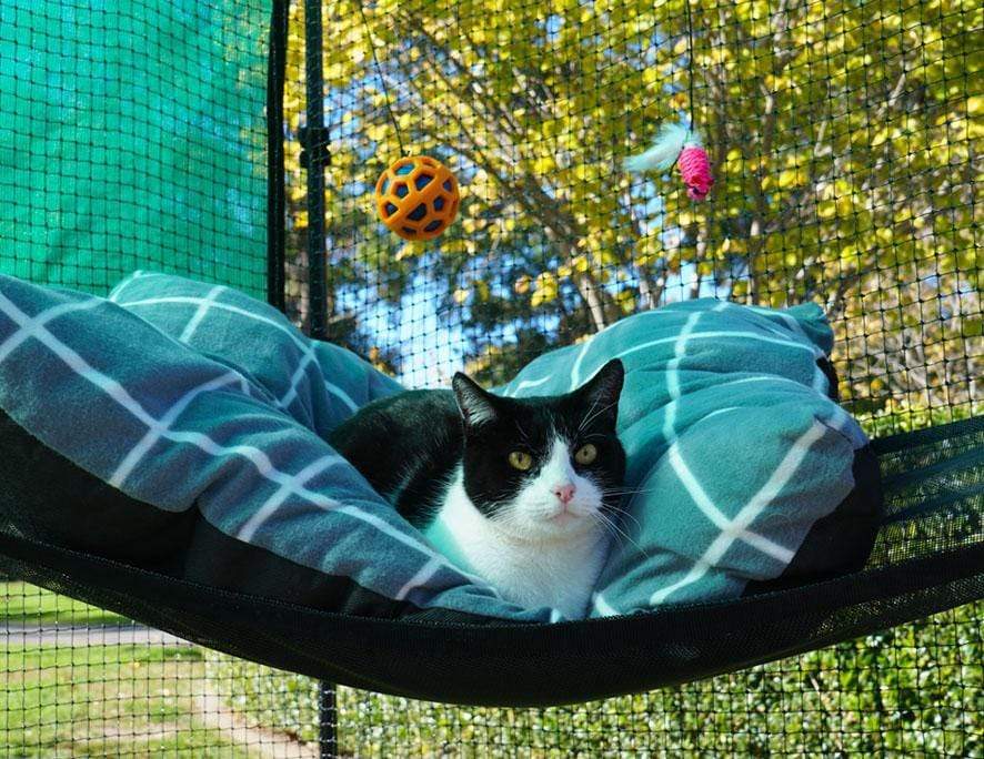 Catnets Premium Portable Enclosure Premium Portable Cat Enclosure 1.8m