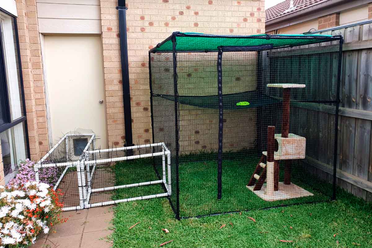 Single Size 1 8m Free Standing Cat Enclosure Catnets New Zealand single-size-1-8m-free-standing-cat-enclosure-catnets-new-zealand