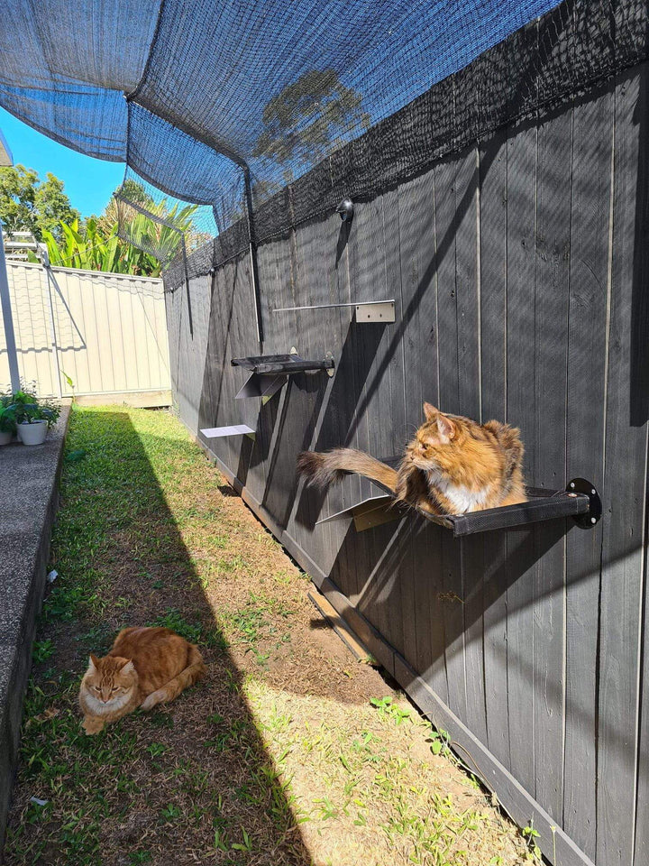 Catnets SKYWALKS Cat Climbing System Skywalks Cat Hammock - Wall Mounted