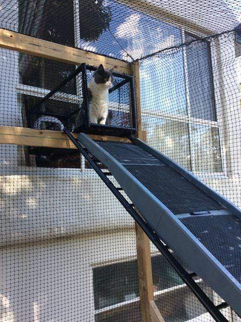 Outdoor cat hotsell enclosure tunnel