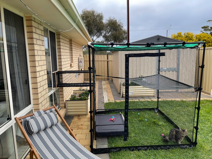 Catio tunnel best sale
